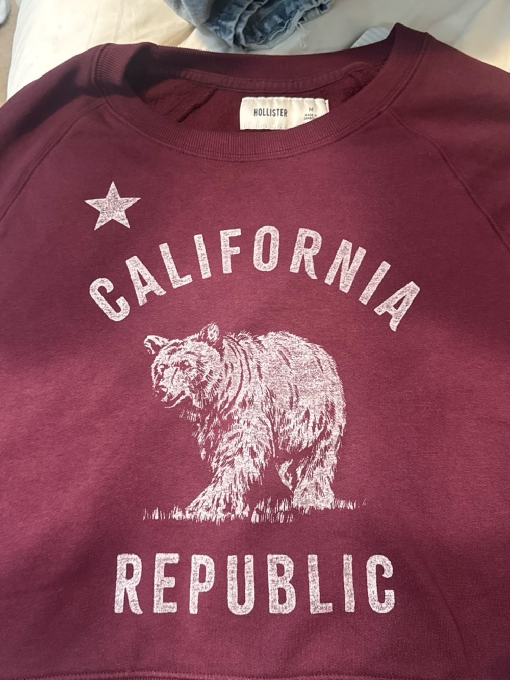 Hollister Kids Maroon 'California Republic' Graphic Crew Sweatshirt